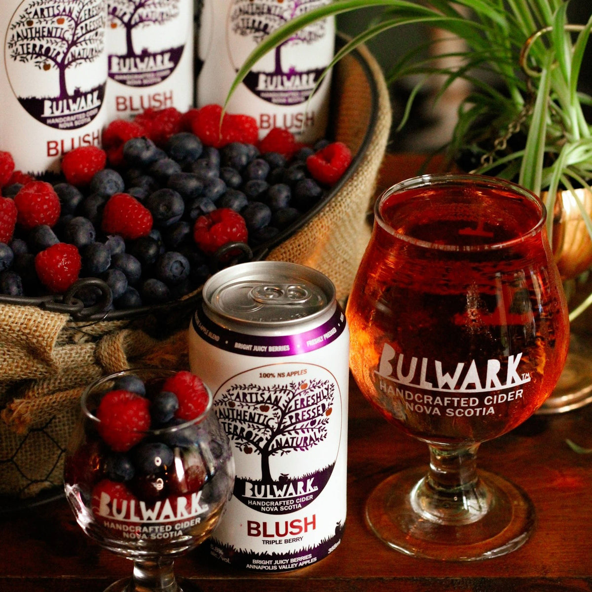 Bulwark Cider - Blush Triple Berry