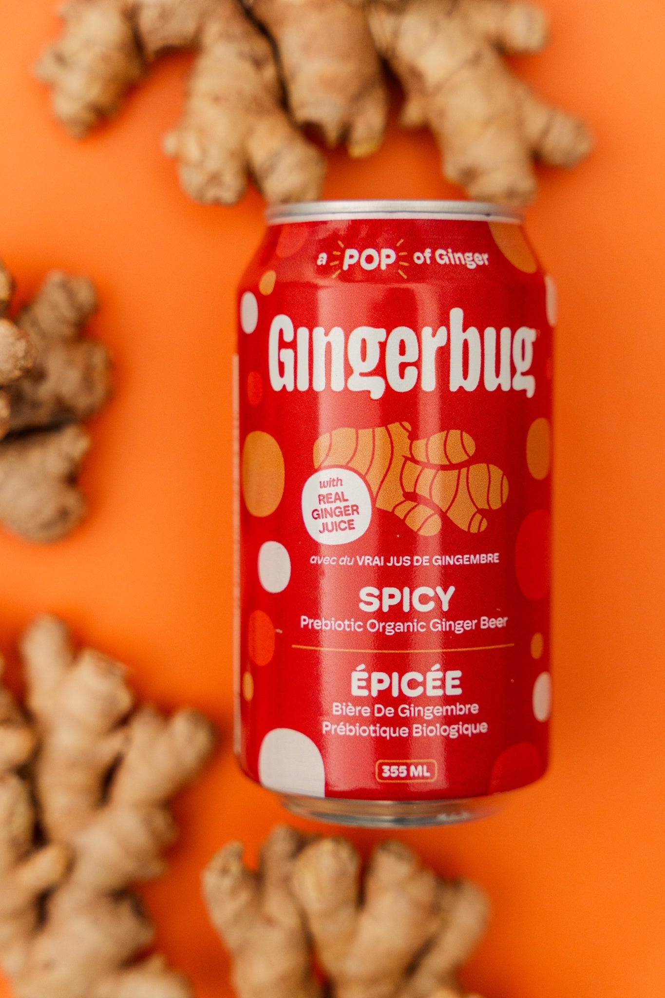 Gingerbug - Spicy