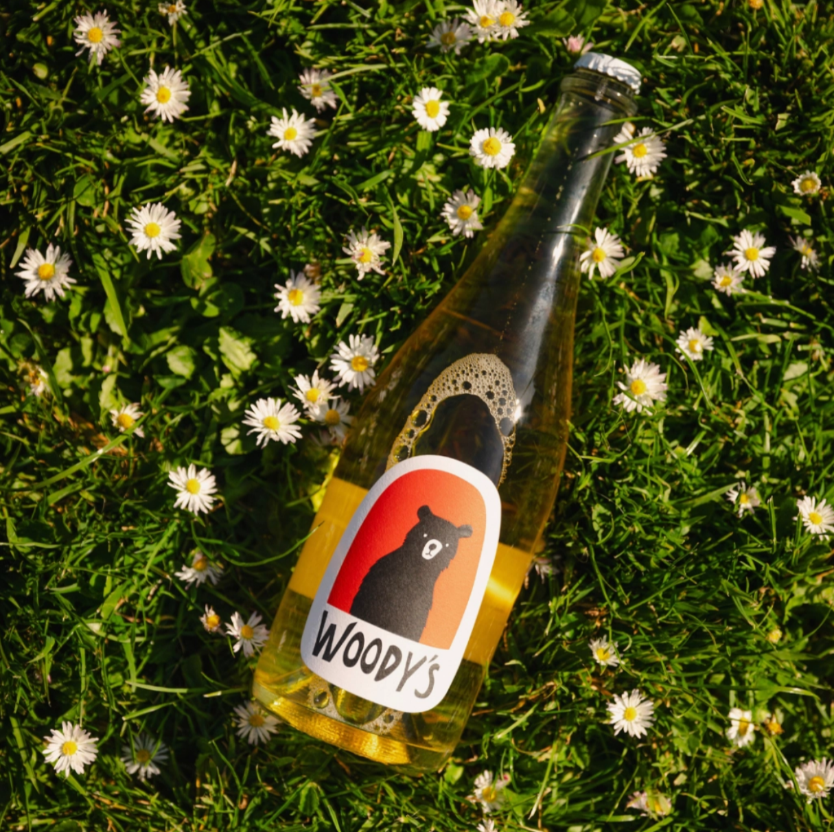 Woody's - Sparkling Blanc de Blanc